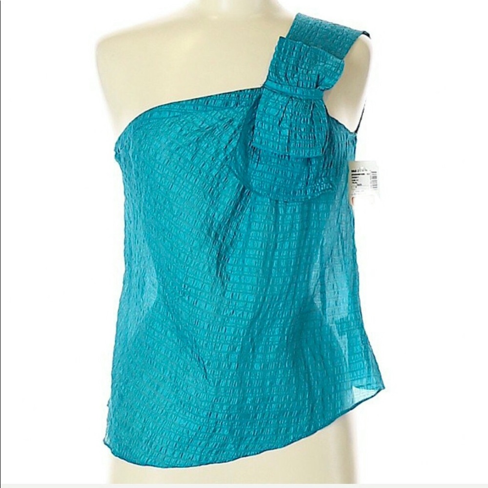 Parameter 100% silk one-shoulder top. NWT